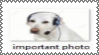 important photo important photo