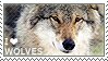 I Love Wolves